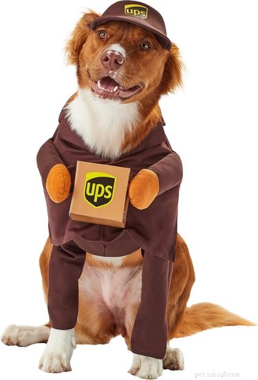 8 Winning Pet Costumes for an Unforgettable Halloween