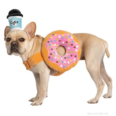 8 Winning Pet Costumes for an Unforgettable Halloween