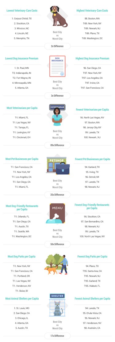 2020’s Best and Worst Cities for Pet Owners