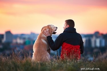 2020’s Best and Worst Cities for Pet Owners