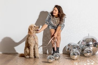 6 Thoughtful Gifts That Give Back to Pets and Their Caretakers