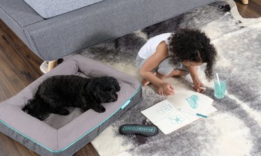 6 Thoughtful Gifts That Give Back to Pets and Their Caretakers