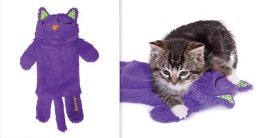 7 Must‑Have Pet Products You Never Knew Existed