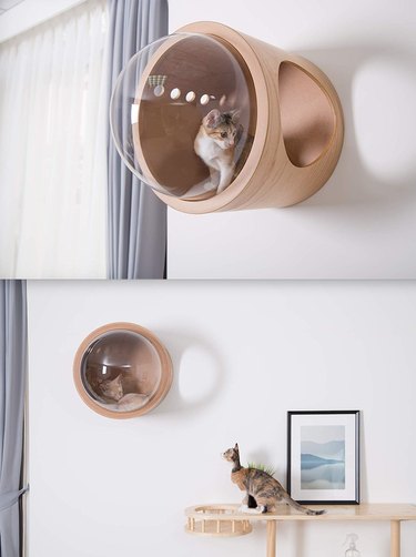 7 Must‑Have Pet Products You Never Knew Existed