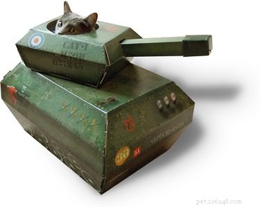 Top 7 Interactive Pet Toys to Keep Your Furry Friends Engaged and Happy