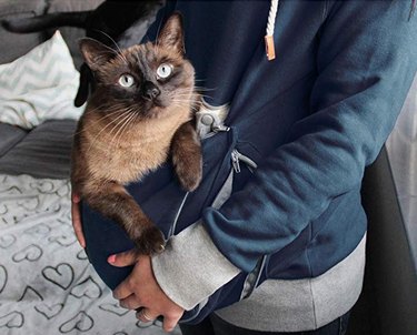Top 7 Valentine’s Day Gifts to Show Your Pet Love
