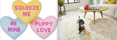 Top 7 Valentine’s Day Gifts to Show Your Pet Love