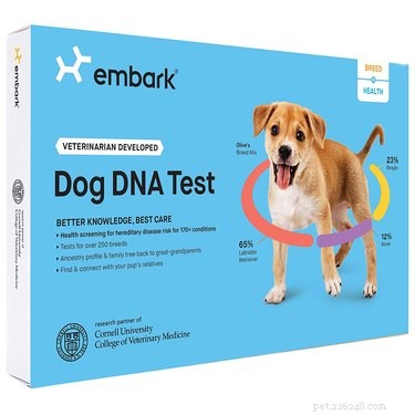 Top 7 Valentine’s Day Gifts to Show Your Pet Love