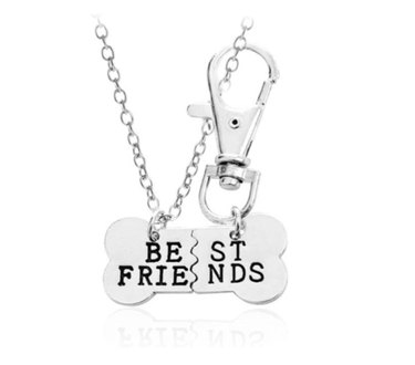 Top 7 Valentine’s Day Gifts to Show Your Pet Love