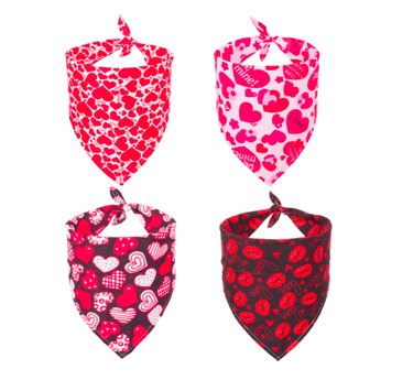 Top 7 Valentine’s Day Gifts to Show Your Pet Love