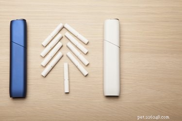 Vaping Near Pets: Safety Risks and What to Know