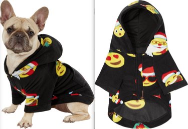 7 Essential Deals on Premium Pet Products You Can t Miss