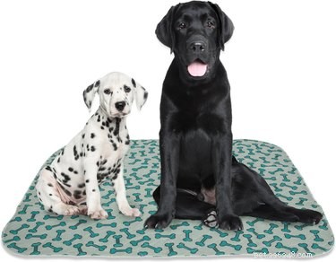 Top 7 Must-Have Cleaning Products Every Pet Owner Should Know