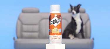 Top 7 Must-Have Cleaning Products Every Pet Owner Should Know