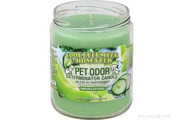 Top 7 Must-Have Cleaning Products Every Pet Owner Should Know