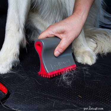 Top 7 Must-Have Cleaning Products Every Pet Owner Should Know