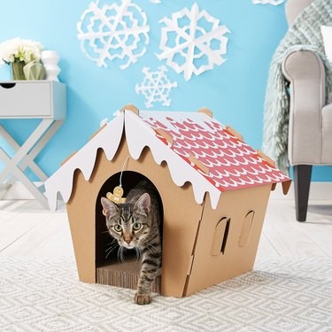 7 Budget-Friendly Pet Stocking Gifts Under $25