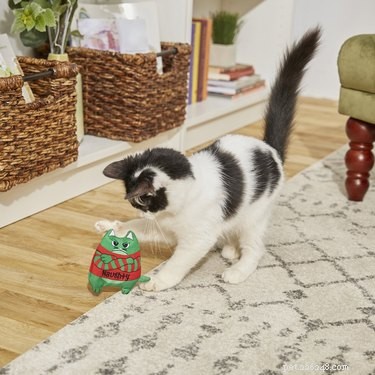 7 Budget-Friendly Pet Stocking Gifts Under $25