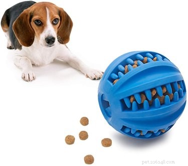 Top 7 Pet Products of the Week: Must-Have Finds for Your Furry Friends