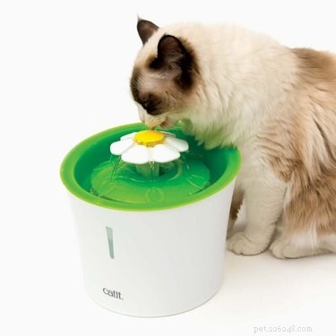 Top 7 Pet Products of the Week: Must-Have Finds for Your Furry Friends