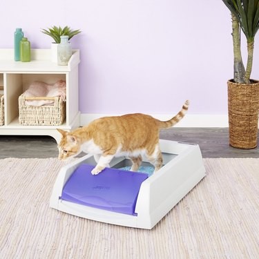 Top 7 Pet Products of the Week: Must-Have Finds for Your Furry Friends
