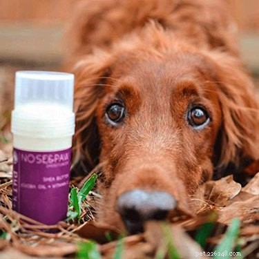 16 Must‑Have Gifts for New Pet Parents