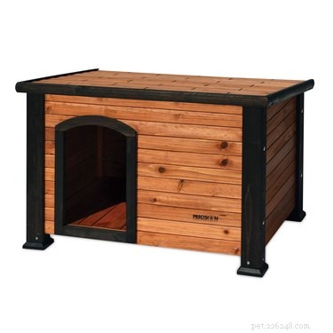 16 Must‑Have Gifts for New Pet Parents