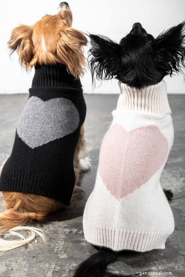16 Must‑Have Gifts for New Pet Parents