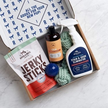 16 Must‑Have Gifts for New Pet Parents
