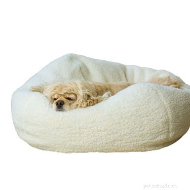 16 Must‑Have Gifts for New Pet Parents