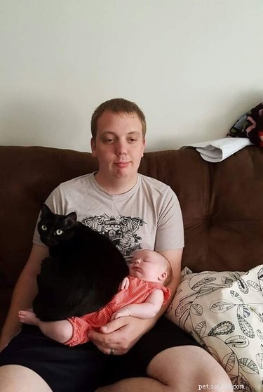 16 Hilarious Pets Who Took  Assignment  a Bit Too Literally