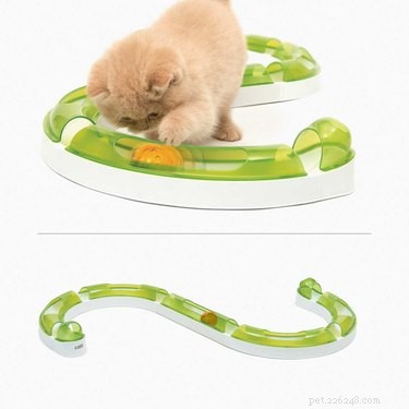 Top Toys to Keep Your Cat Mentally Engaged and Happy