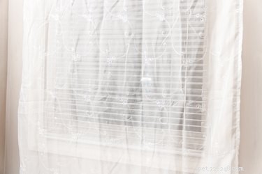 Keep Cats Out of Blinds: Safe, Simple Strategies for Protecting Your Home