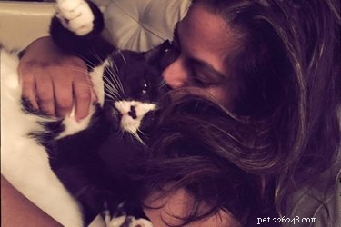 Saving a Cat Facing Euthanasia: A Heartwarming Rescue Story