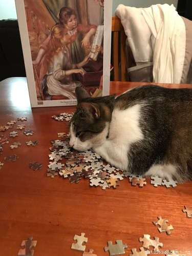 17 Adorable Pets That Will Melt Your Heart