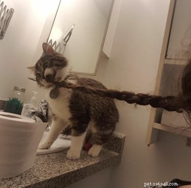 17 Adorable Pets That Will Melt Your Heart