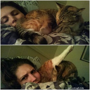 17 Adorable Pets That Will Melt Your Heart