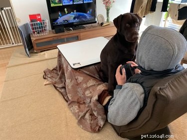 17 Adorable Pets That Will Melt Your Heart