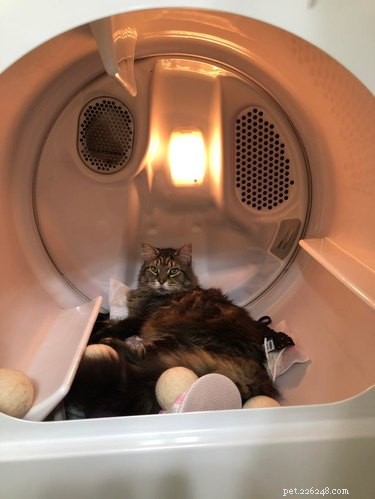 17 Adorable Pets That Will Melt Your Heart