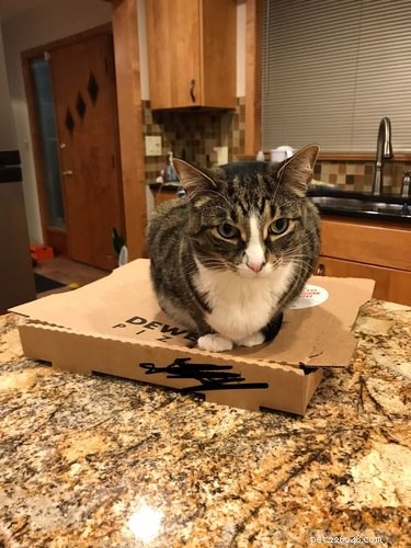 17 Adorable Pets That Will Melt Your Heart