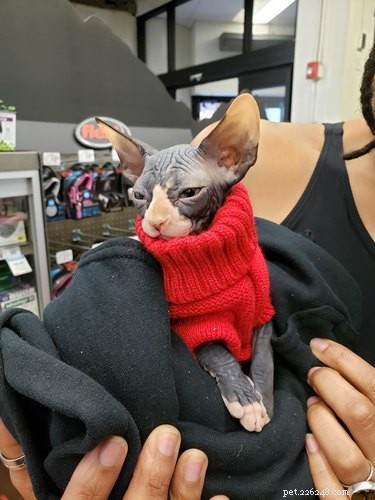 16 Non‑Furry Pets That Will Melt Your Heart