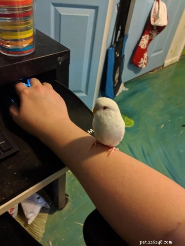 16 Non‑Furry Pets That Will Melt Your Heart