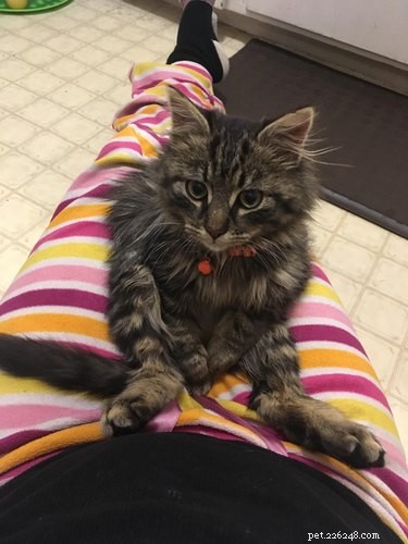 19 Irresistibly Cute Animal Photos Taken by Veterinarians