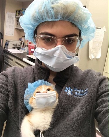 19 Irresistibly Cute Animal Photos Taken by Veterinarians