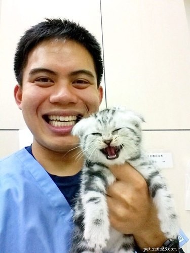 19 Irresistibly Cute Animal Photos Taken by Veterinarians