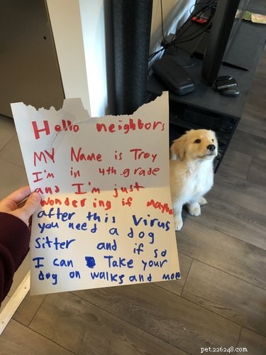 11 Adorable Pet Letters That Took the Internet by Storm