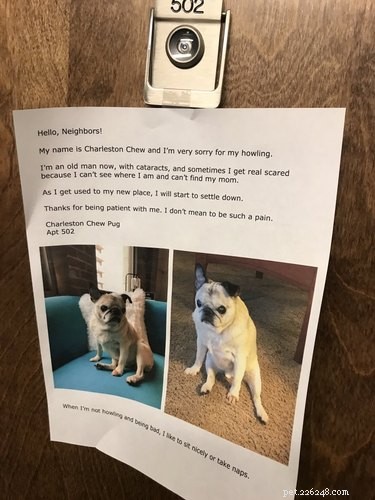 11 Adorable Pet Letters That Took the Internet by Storm
