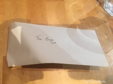 11 Adorable Pet Letters That Took the Internet by Storm