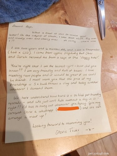11 Adorable Pet Letters That Took the Internet by Storm