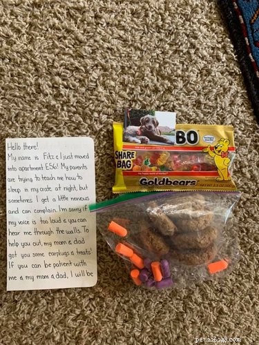 11 Adorable Pet Letters That Took the Internet by Storm